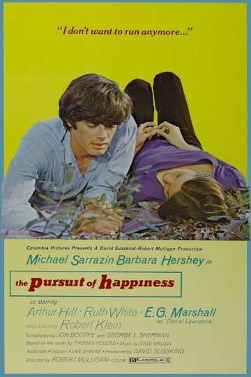 The Pursuit of Happiness Poster