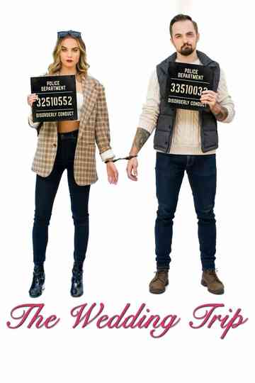 The Wedding Trip Poster