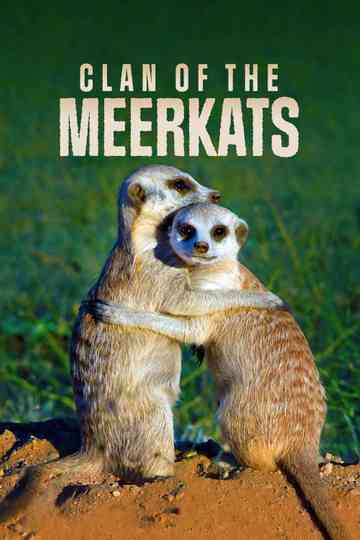 Clan of the Meerkat Poster