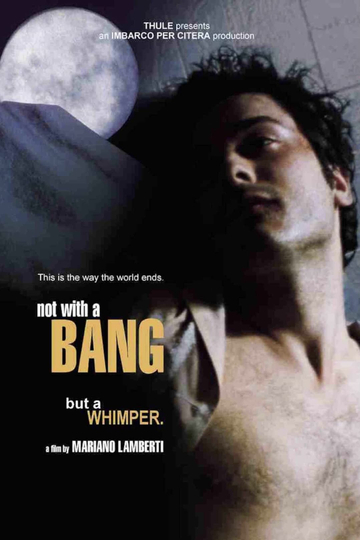 Not with a Bang Poster