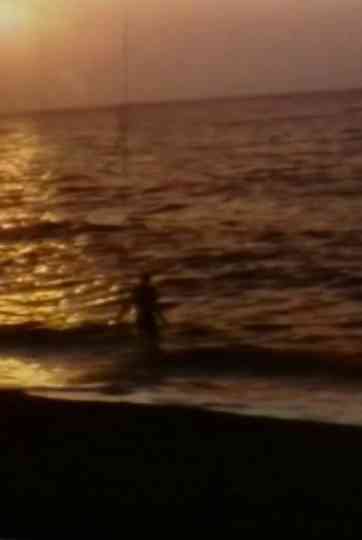 Beach House