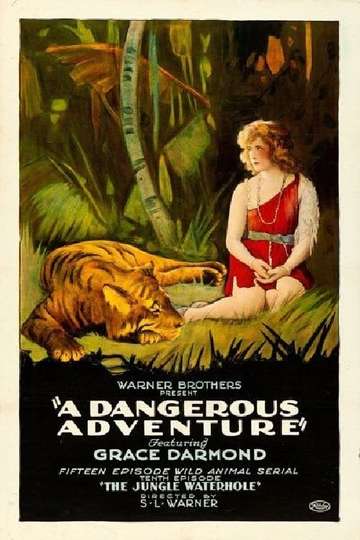 A Dangerous Adventure Poster