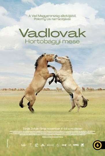 Wild Horses - A Tale From The Puszta Poster