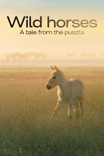 Wild Horses - A Tale From The Puszta