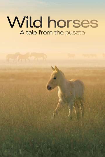 Wild Horses - A Tale From The Puszta Poster