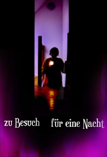 Zu Besuch für eine Nacht Poster