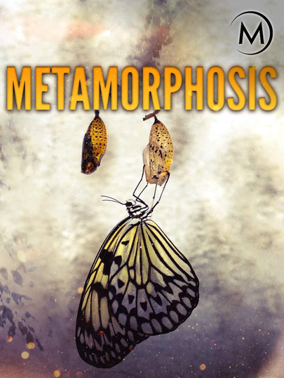 Metamorphosis Poster