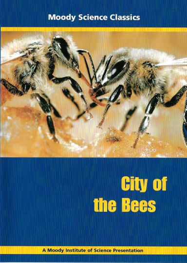 City of the Bees