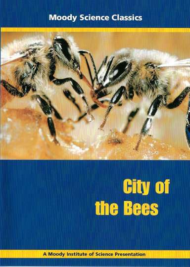 City of the Bees