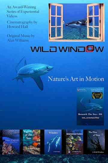 Wild Window Poster