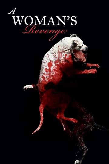 A Womans Revenge Poster