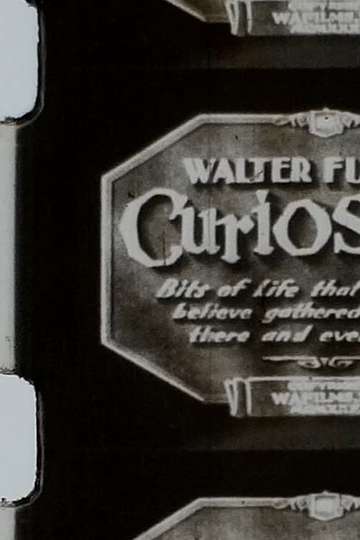 Walter Futters Curiosities