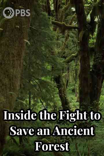 Inside the Fight to Save an Ancient Forest (and the Secrets it Holds) Poster