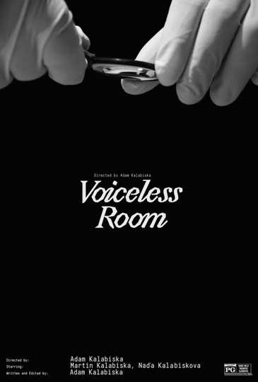 Voiceless Room Poster