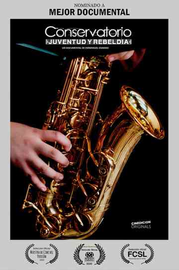 Conservatorio Juventud y Rebeldía poster