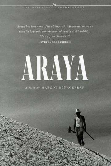 Araya Poster