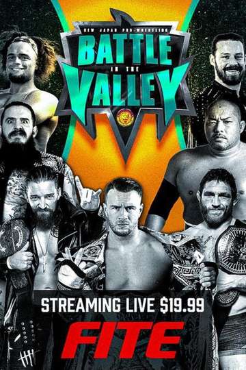 NJPW Battle In The Valley Poster
