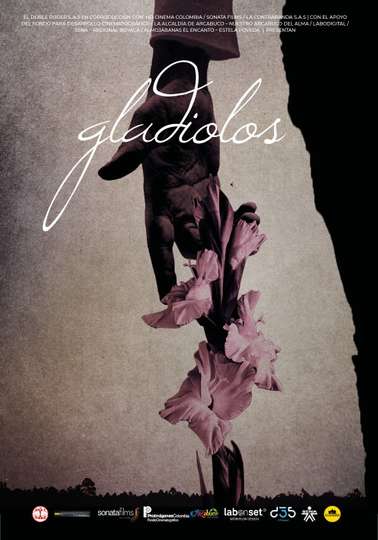 Gladiolos Poster