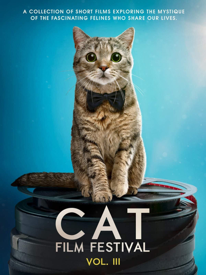 Cat Film Festival Vol 3