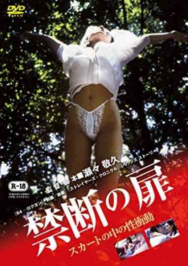 Forbidden Door: Sexual Urge in the Skirt
