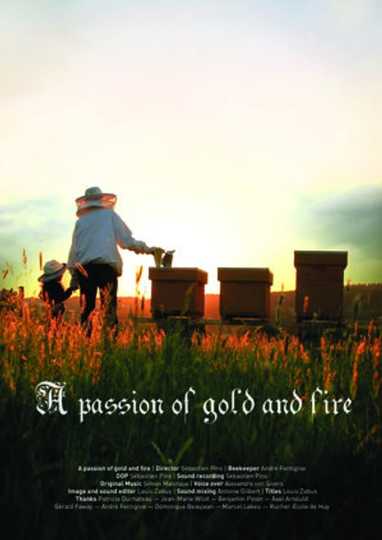 A Passion of Gold and Fire