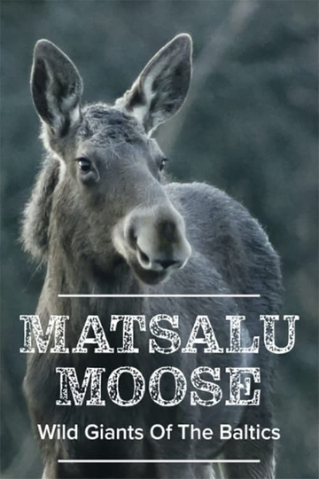 Matsalu Moose: Wild Giants of the Baltics