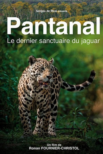 Pantanal, le dernier sanctuaire du jaguar