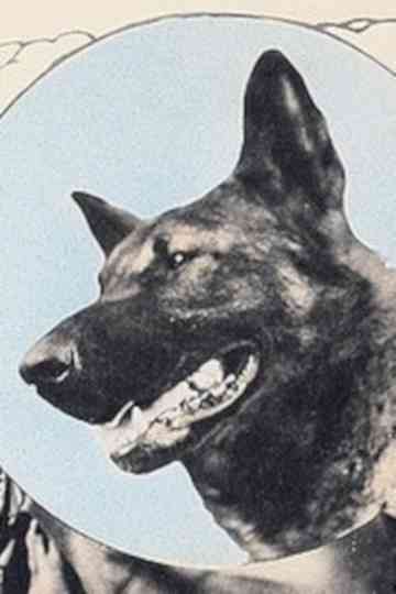 Wolfheart the Dog Poster