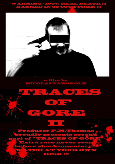 Traces of Gore II