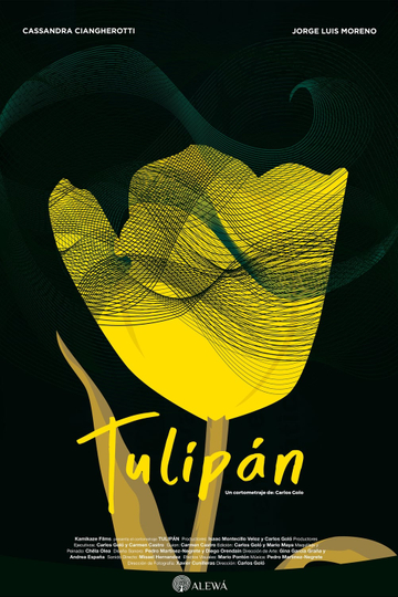 Tulipán