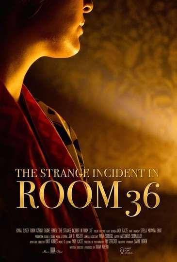 The Strange Incident In Room 36 Poster