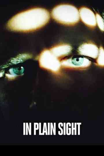 Killer in Plain Sight Poster
