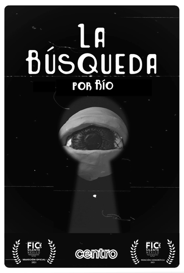 La búsqueda Poster