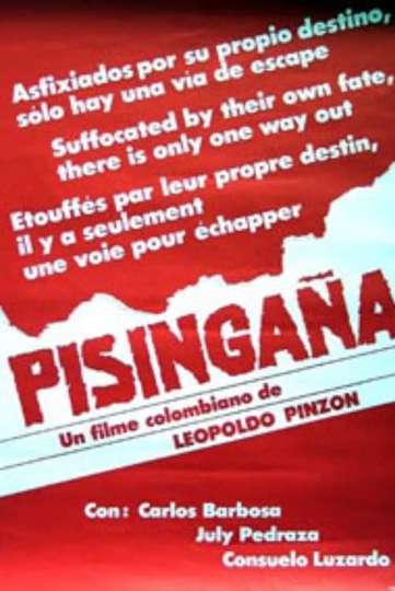 Pisingaña Poster