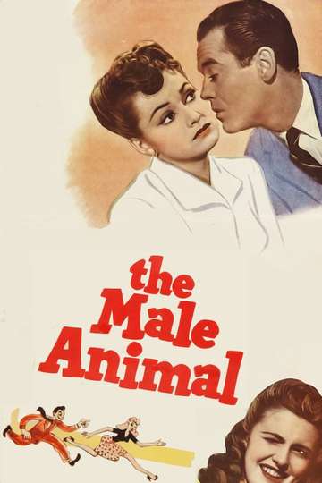 The Male Animal Poster