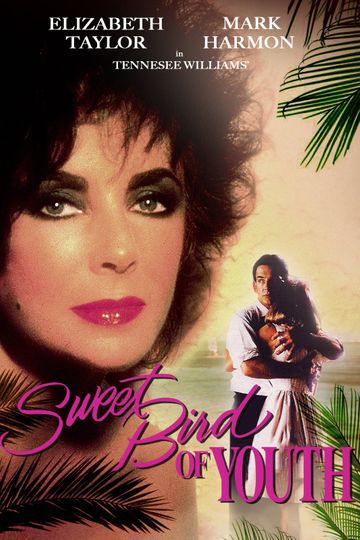 Sweet Bird of Youth Poster