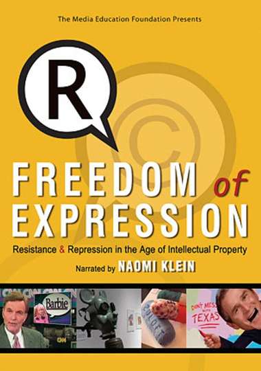 Freedom of Expression Resistance  Repression in the Age of Intellectual Property