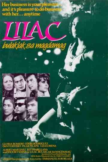 Lilac Bulaklak sa Magdamag