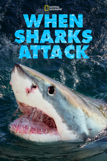 When Sharks Attack Poster