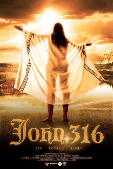 John 316 Poster