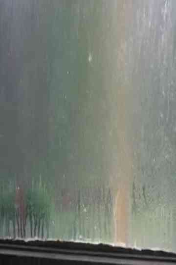 Fogged Windows