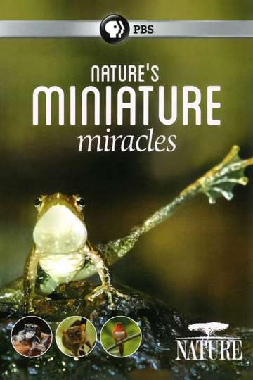 Natures Miniature Miracles