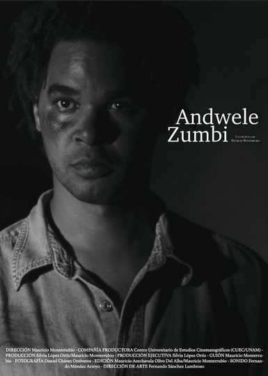 AndweleZumbi Poster