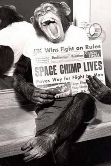 Spacechimp Poster