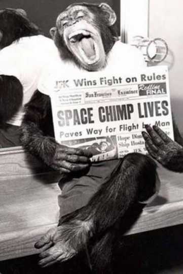 Spacechimp