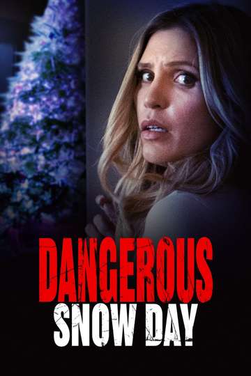 Dangerous Snow Day Poster