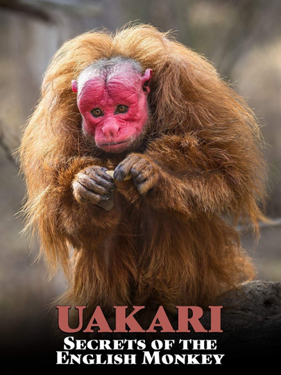 Uakari Secrets of the English Monkey Poster