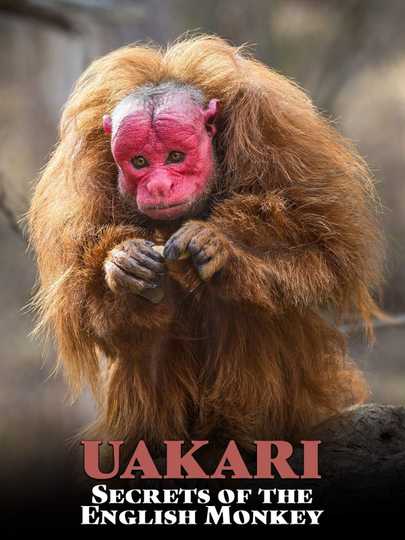 Uakari Secrets of the English Monkey