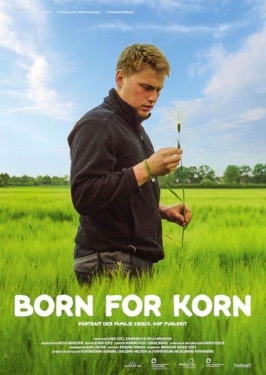 Born for Korn Poster