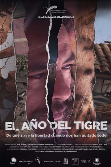 The Year of the Tiger Poster